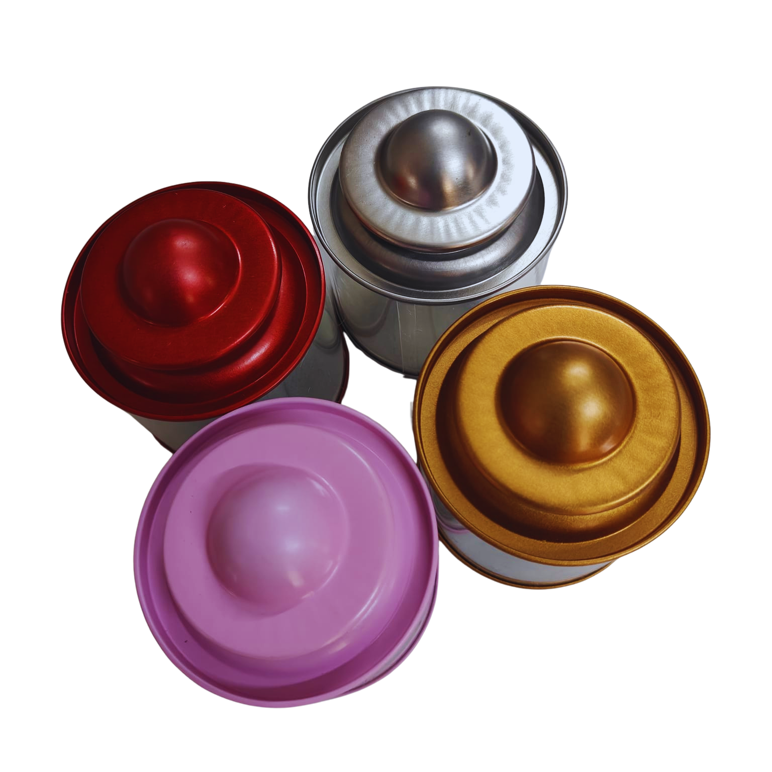 Colour Lid Stainless Steel and Transparent Storage Container - Image 2