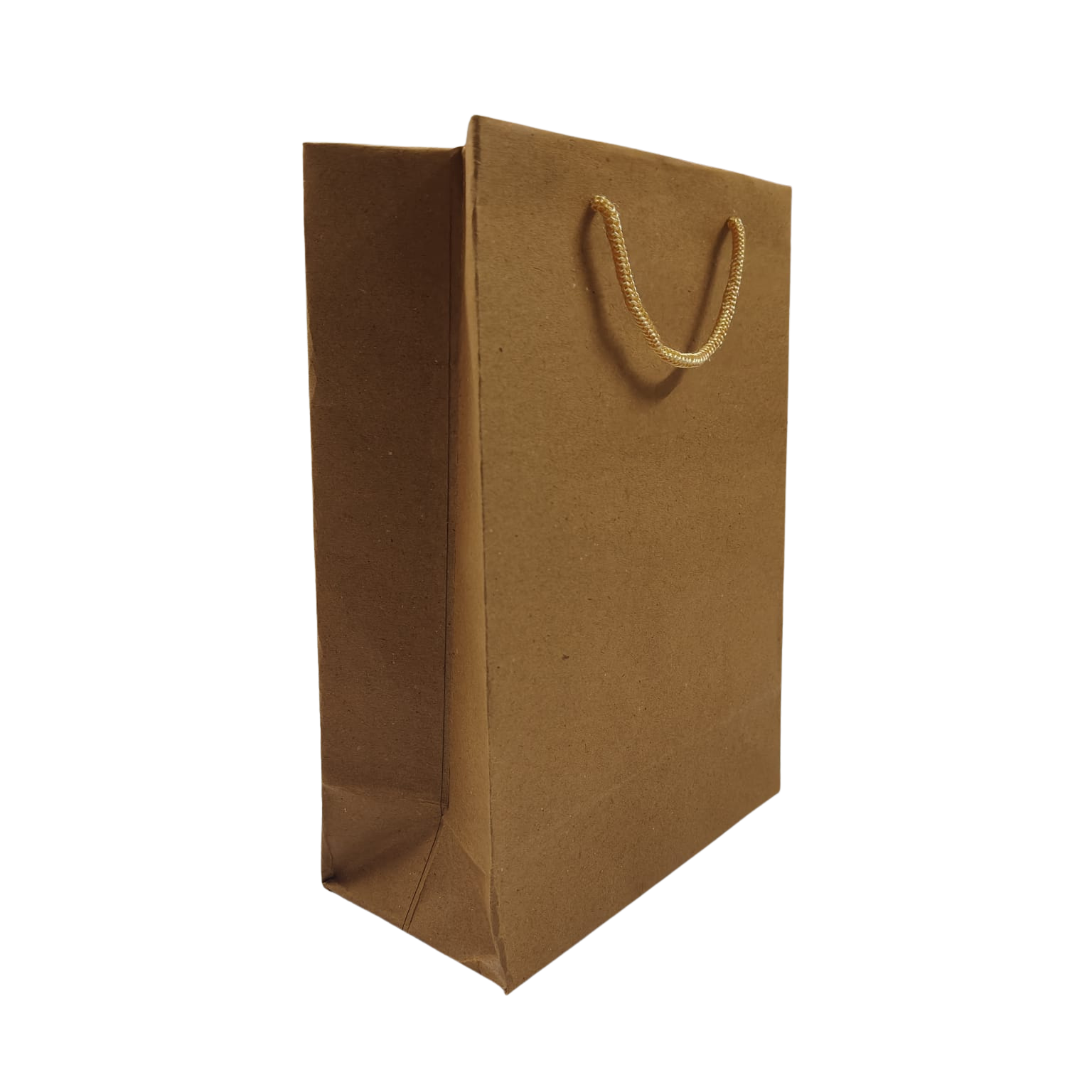 Paper Craft Bag with Rope Handle (Plain Brown)
