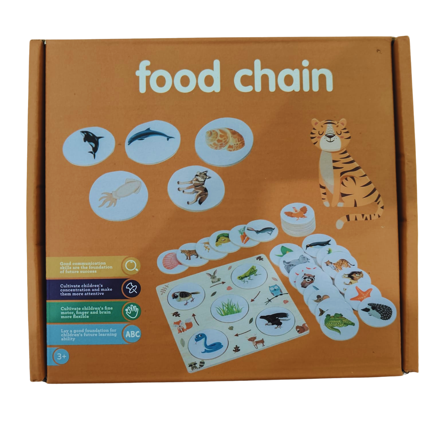 Food Chain Growth Cycle Puzzle